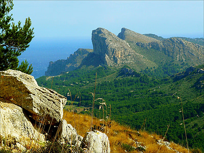 gray mountain thumbnail