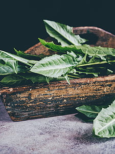 green leaves on brown case thumbnail