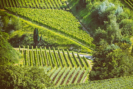 green field thumbnail