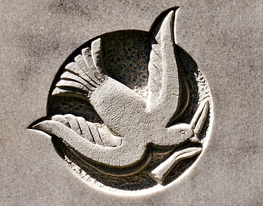 gray bird emboss logo thumbnail