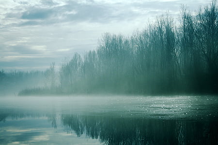 body of water near trees at daytime thumbnail