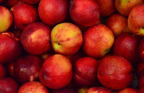 red apple fruits thumbnail