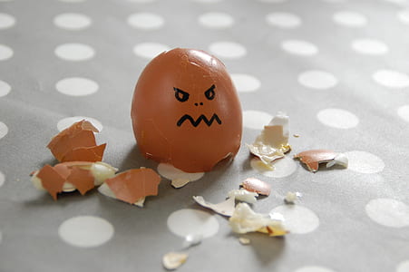 photo of egg shell thumbnail