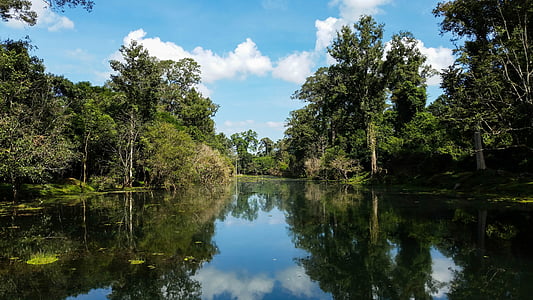 body of water in between trees thumbnail