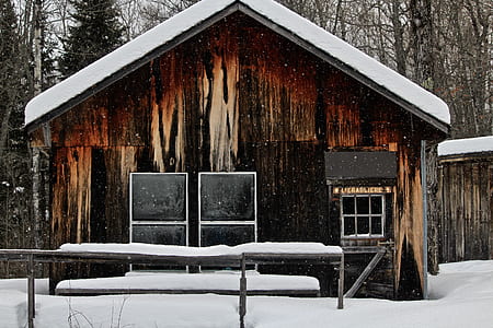 brown wooden house covered with snow near trees at daytime thumbnail