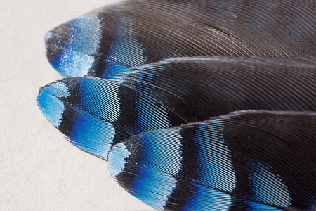 black, blue, and gray striped abstract painting thumbnail