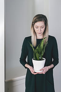 woman holding snake plant in white pot thumbnail