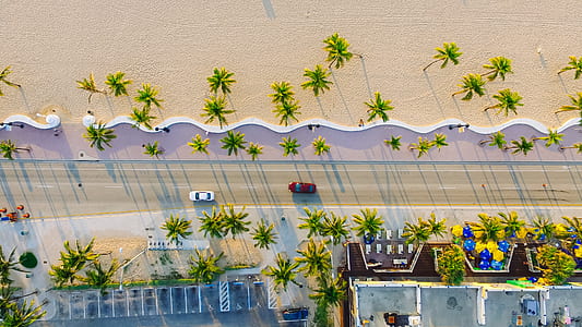 aerial photography of vehicles on road near beach during daytime thumbnail