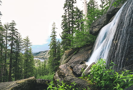waterfall surrounded by trees thumbnail