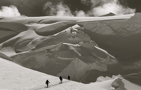 Person Holding Stick in Grayscale Photography thumbnail