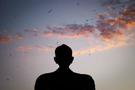 Silhouette of a Man Watching Birds Gliding on the Sky thumbnail