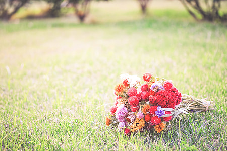 bouquet of flowers on green grass field during daytme thumbnail