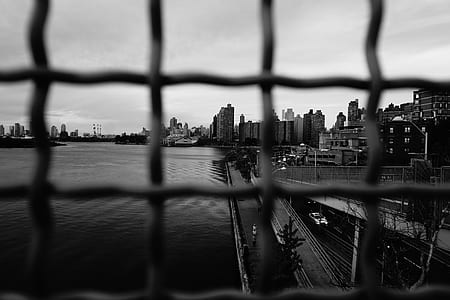 grayscale photo of buildings near body of water thumbnail
