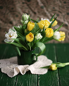 macro shot photography of yellow and white flowers thumbnail