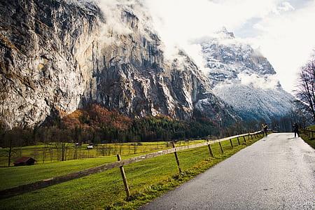 forest under the mountain thumbnail