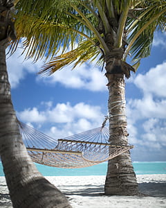 hammock hanged on coconut trees thumbnail