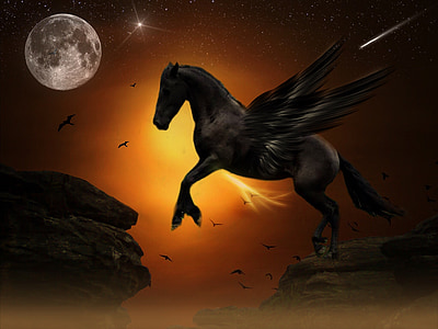 black pegasus portrait thumbnail
