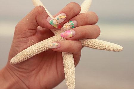 person holding a starfish thumbnail