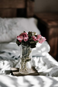pink rose flowers on clear vase with minimal amount of water inside vase thumbnail