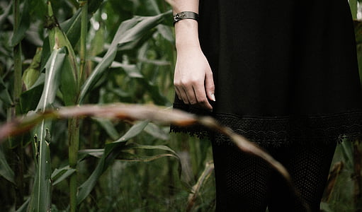 woman standing on corn field thumbnail