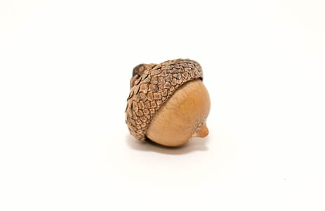nut on white surface thumbnail