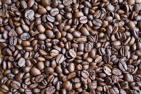 photo of coffee beans thumbnail