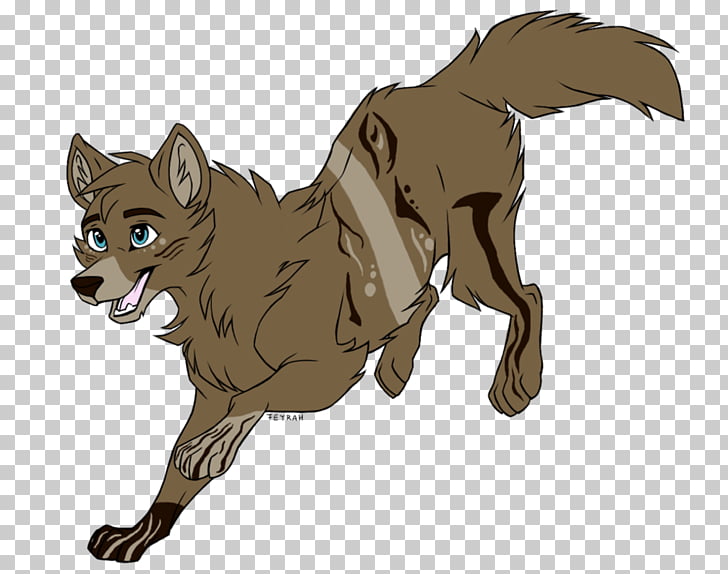 red fox gray wolf