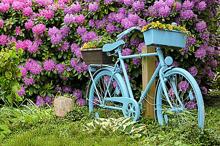 blue beach cruiser bicycle leaning on wooden post with purple flower garden in background thumbnail