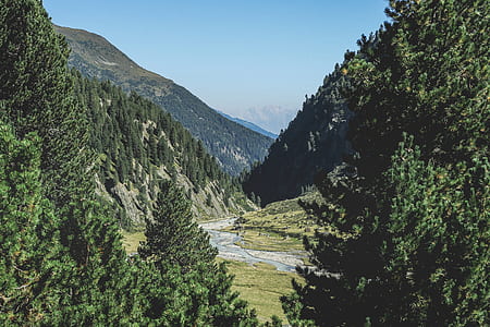 river between tree green mountains thumbnail