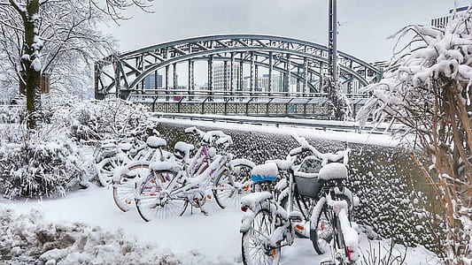 bicycles cover with snow between trees at daytime thumbnail