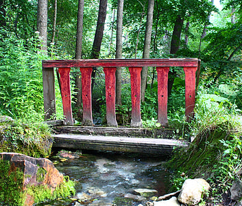 body of water and green leafed plants thumbnail