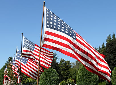 flag of United States of America on poles under clear blue sky at daytime thumbnail