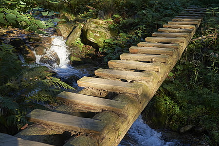 waterfalls with brown wooden bridge thumbnail