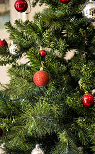 Green and Red Christmas Tree thumbnail