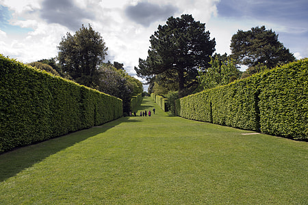 Hidcote Manor Garden, Long Avenue thumbnail