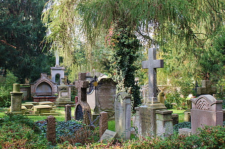 gray concrete tombstones thumbnail