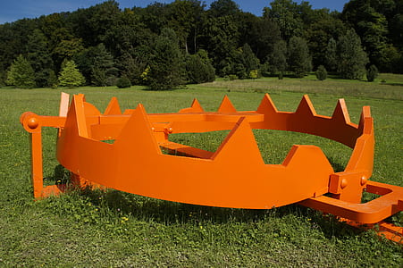 orange animal trap on green grass during daytime thumbnail