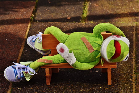 Kermit The Frog laying on bench thumbnail