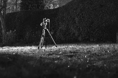 camera on grass thumbnail