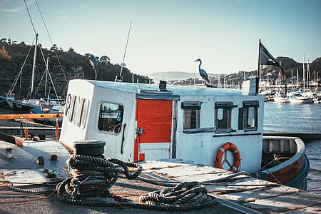 Fishing Boat on a Dock thumbnail