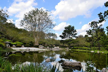 still body of water surrounded by green leafed trees under partially cloudy skies thumbnail
