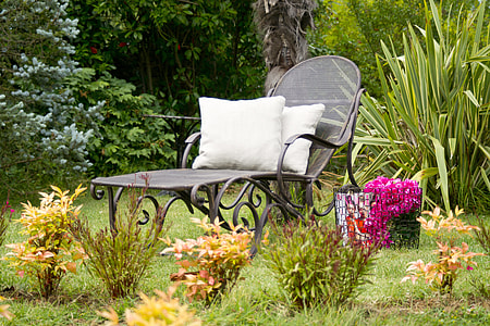 black sun lounger near flowers and green leaf plants thumbnail