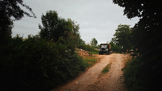 Semi Truck Surrounded by Green Leaf Trees Under Clear Gray Sky thumbnail