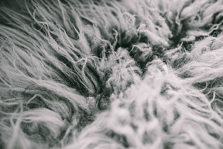Scandinavian pillows thumbnail
