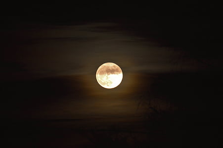 the moon thumbnail