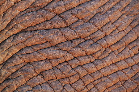 dried brown soil thumbnail