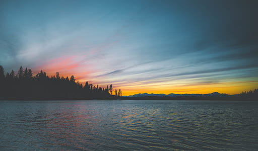 body of water near forest thumbnail