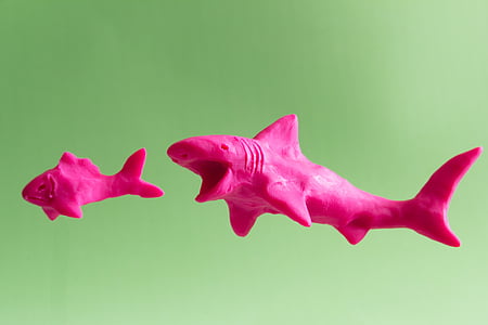 pink shark and fish clay models thumbnail
