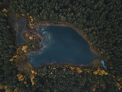 bird's eye view photo of body of water surrounded by trees thumbnail