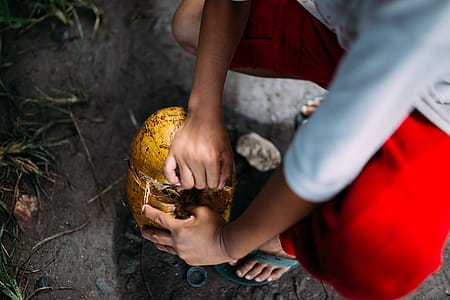 Person Peeling a Coconut thumbnail
